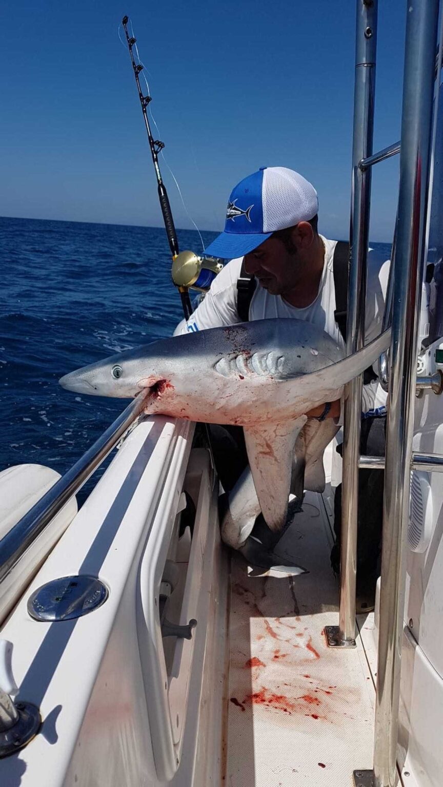 David Burriel Fishing Charter pesca de altura y curricán en la costa de Jávea y Denia